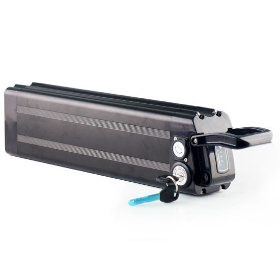 Paquete de batería recargable de iones de litio de peces plateados de 48V 20ah para motor de bicicleta eléctrica de 750W 1000W