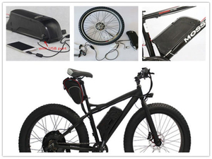 OEM recargable Li Ion 36V 10ah 12ah 15ah tipo delfín batería eléctrica de la bici