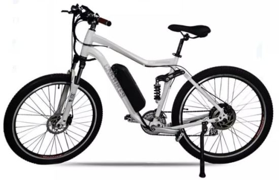 Batería recargable de litio 36V 10.4ah Hailong para bicicleta eléctrica de montaña Ebike